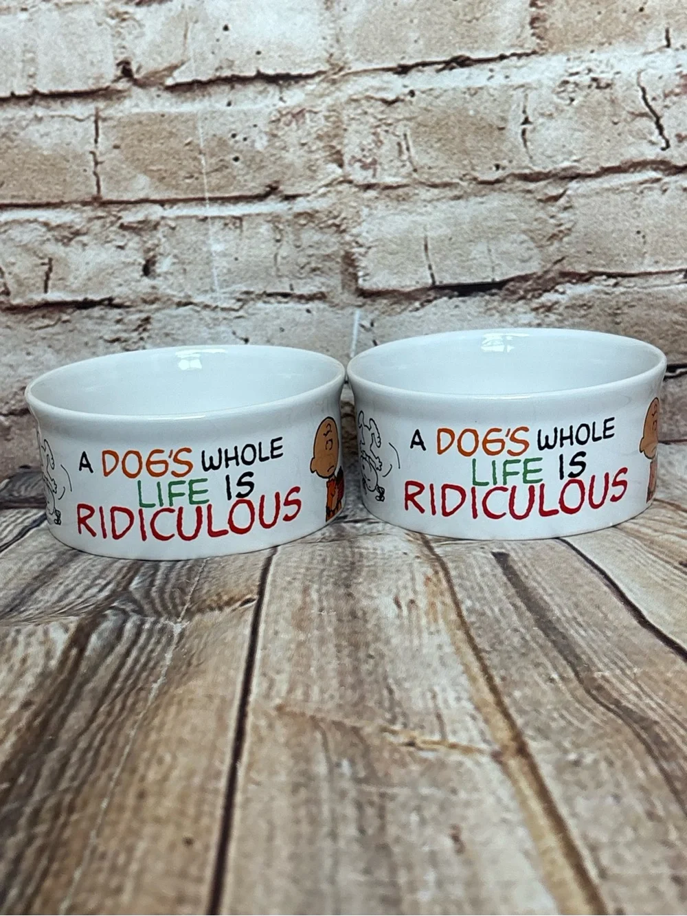 Peanuts Snoopy Charlie Brown Dog Cat Ceramic Pet Food Water Bowls Set 4.5